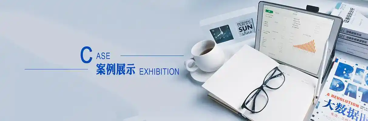 兴城市软件开发